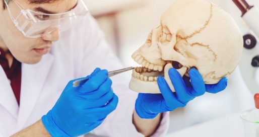 Всесвітній день антропології