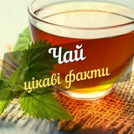 цікаві факти про чай
