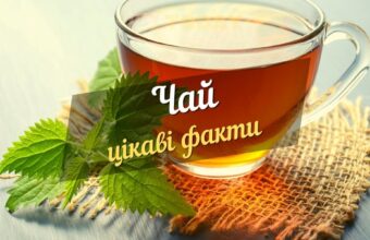 цікаві факти про чай