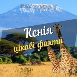 цікаві факти про кенію