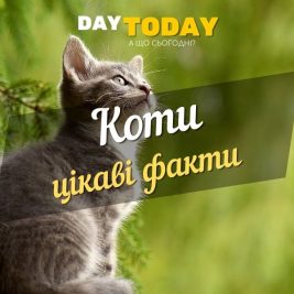 здорового