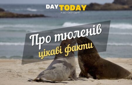 Цікаві факти про тюленiв (1)