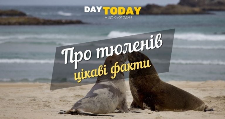 Цікаві факти про тюленiв (1)