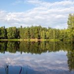 Лаврентіїв день (Свято мірошника)