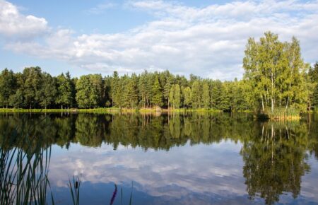Лаврентіїв день (Свято мірошника)