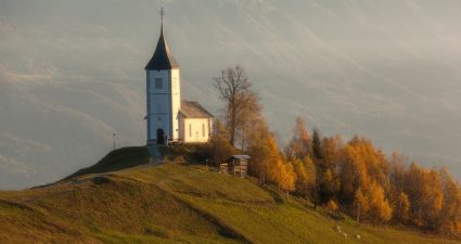 Рекомендовано