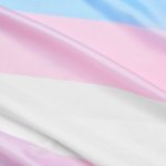Міжнародний день займенників