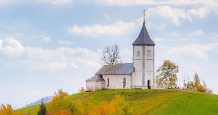 Рекомендовано