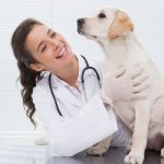 Міжнародний день ветеринарної медицини