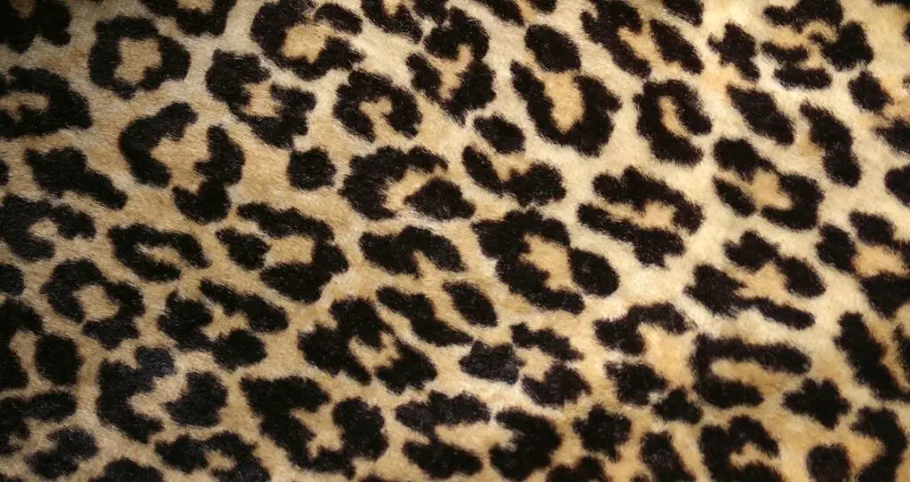 Візерунок на шкірі гепарда