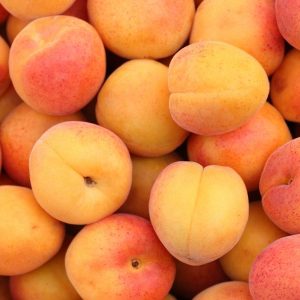 День абрикоса (National Apricot Day США) відзначають 9 січня.