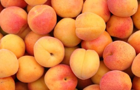 День абрикоса (National Apricot Day США) відзначають 9 січня.