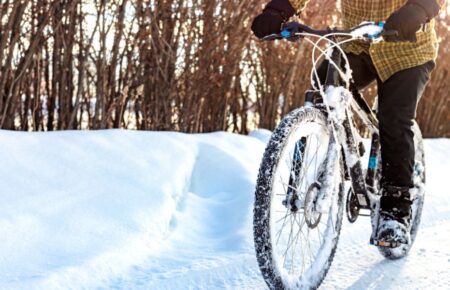 Міжнародний зимовий день «На роботу на велосипеді» (International Winter Bike to Work Day)