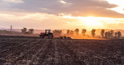 Плужний понеділок у Великобританії