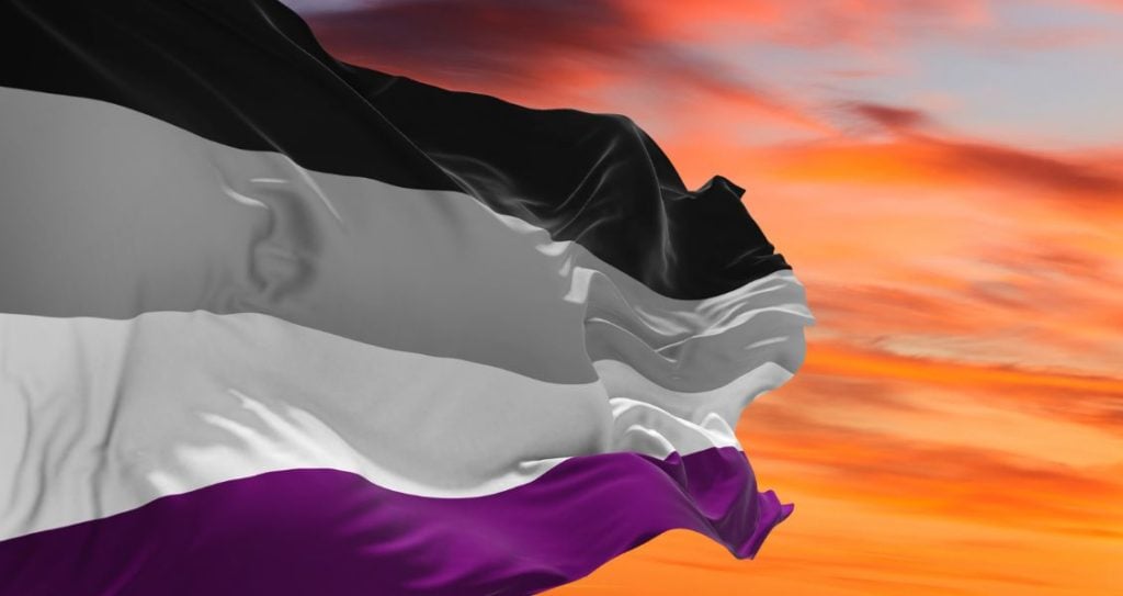 Міжнародний день асексуальності