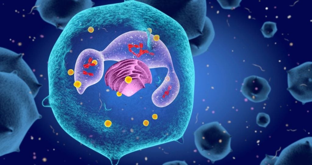 Міжнародний день імунології