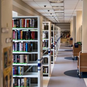 Всесвітній день інформаційної етики