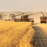 День вдячності працівникам сільського господарства