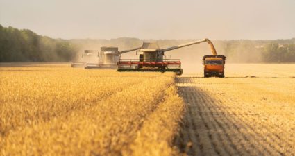 День вдячності працівникам сільського господарства