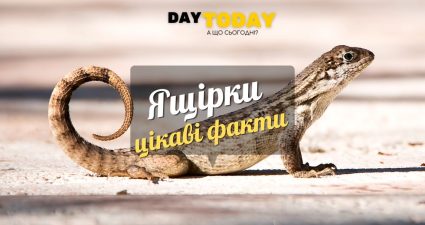 Ходімо далі? Наступна стаття