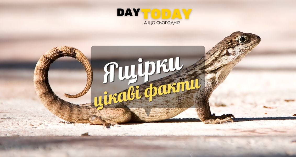 Цікаві факти про ящірок