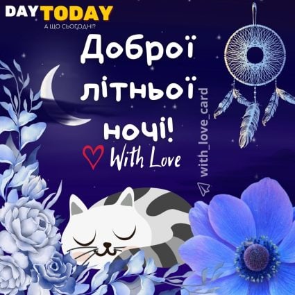 Доброї літньої ночі! картинка з котиком та квітами | Вітальна листівка - Доброї ночі - Теплі листівки