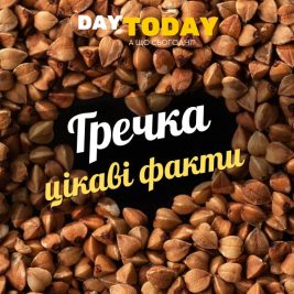 Цікаві факти про гречку