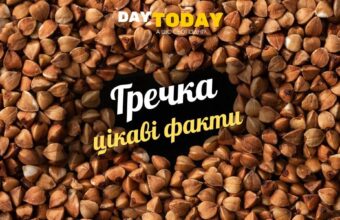 Цікаві факти про гречку