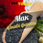 Цікаві факти про мак