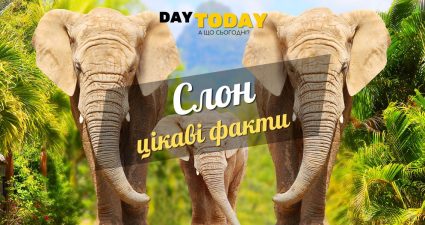Ходімо далі? Наступна стаття