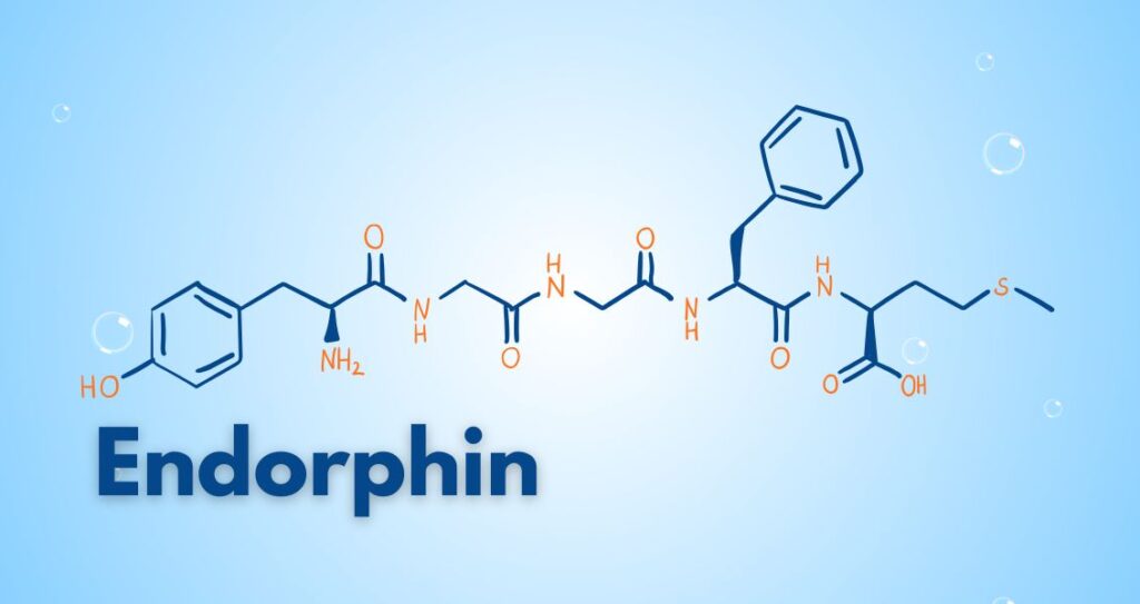 ендорфін