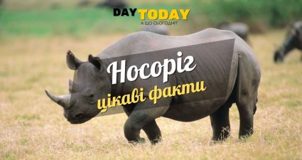 Ходімо далі? Наступна стаття