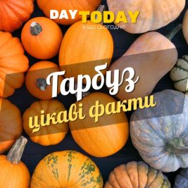 Цікаві факти про гарбуз