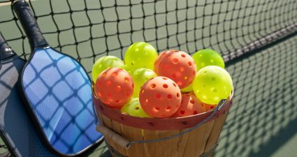 Всесвітній день піклболу
