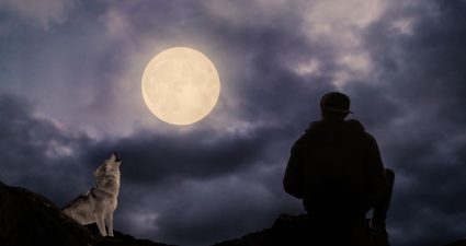 Всесвітнє виття в місячну ніч