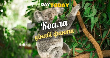 Ходімо далі? Наступна стаття