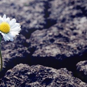 Міжнародний день "Ми не зломлені"