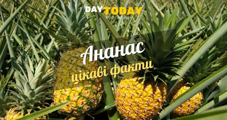 Цікаві факти про ананас