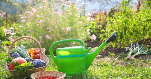 Міжнародний день пермакультури