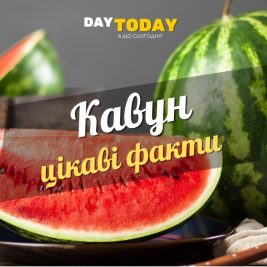 Цікаві факти про кавуна