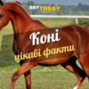 Цікаві факти про коней