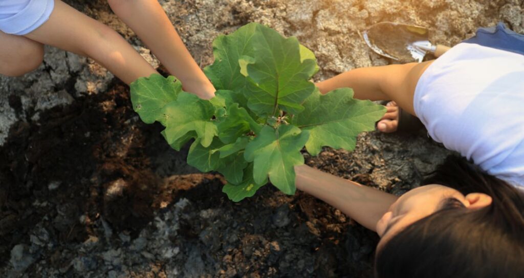 День «Навчи свою доньку волонтерства»