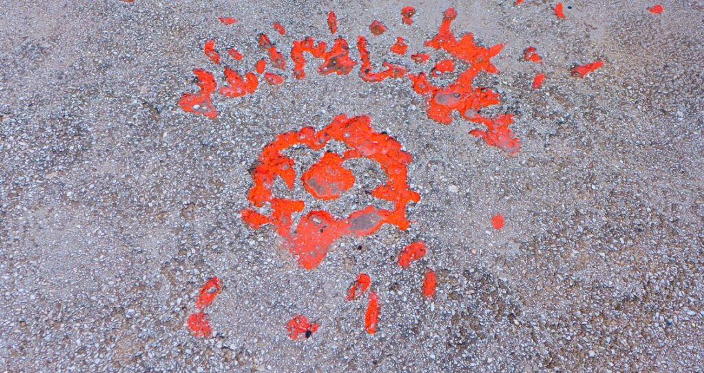 «Сараєвські троянди» Міжнародний день троянд Сараєво