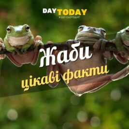 Цікаві факти про жаб