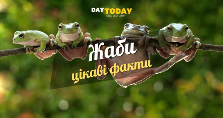 Цікаві факти про жаб