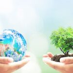 Всесвітній день посадки рослин