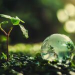 Всесвітній день відновлення дикої природи