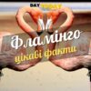 Цікаві факти про фламінго