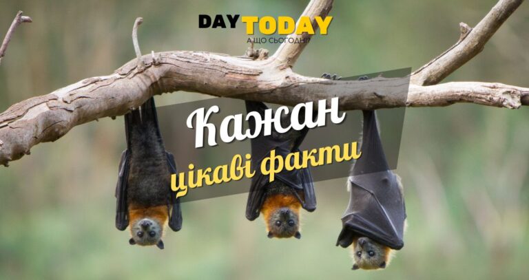 Цікаві факти про кажанів