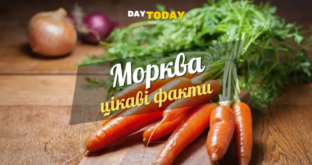 Цікаві факти про моркву